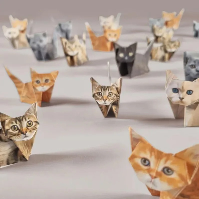 Creative DIY Paper Cats 50 She - Art Craft Dinosaur 评论和价格