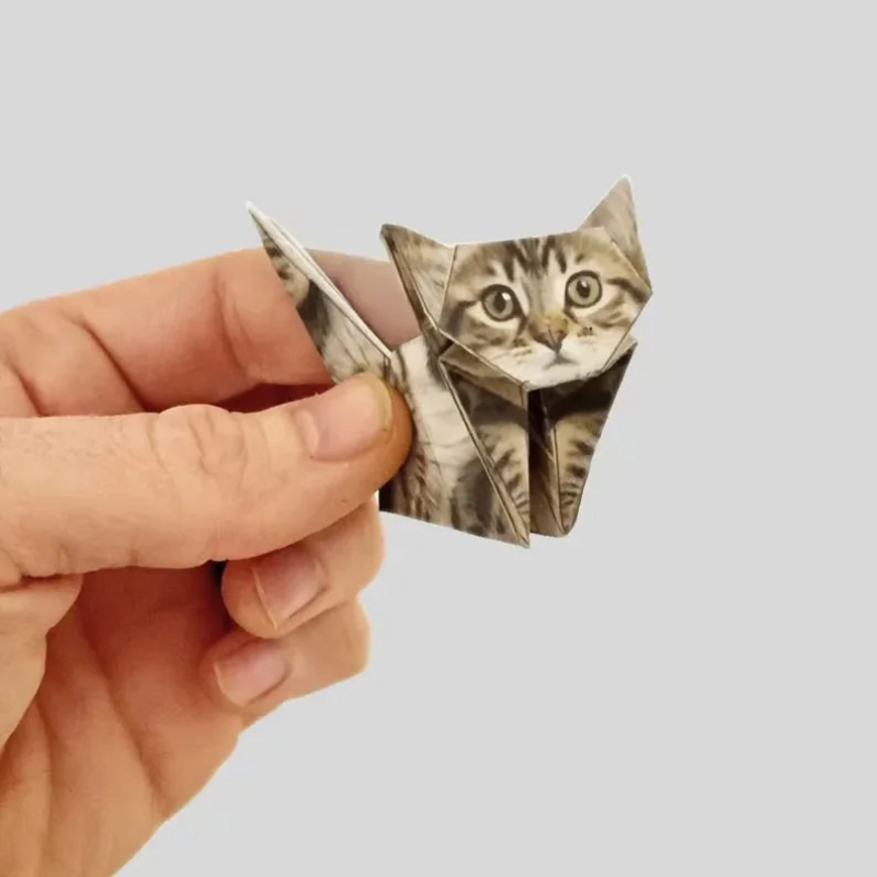 Creative DIY Paper Cats 50 She - Art Craft Dinosaur 评论和价格