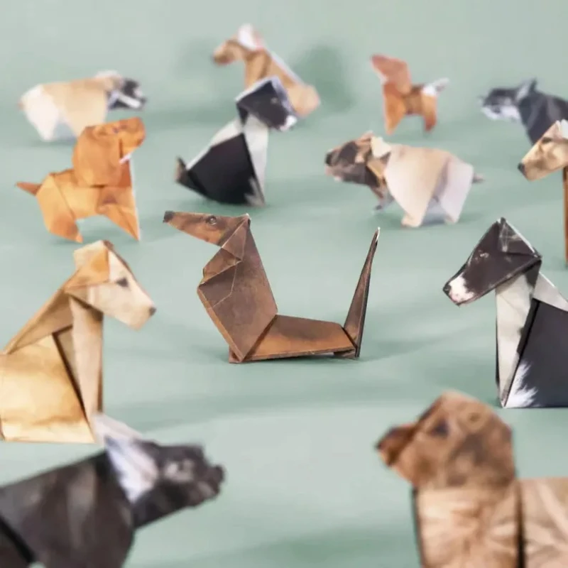 Creative DIY Paper Cats 50 She - Art Craft Dinosaur 评论和价格