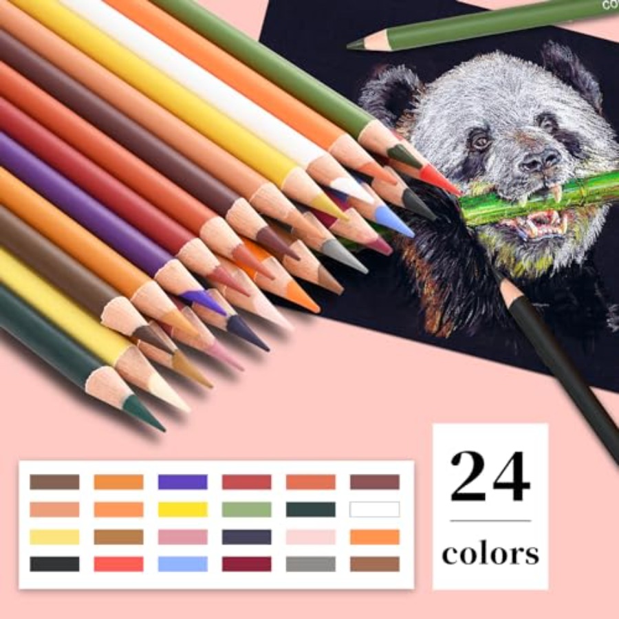 Colored Charcoal Pencils Drawi - Chalk Pastel Set 评论和价格