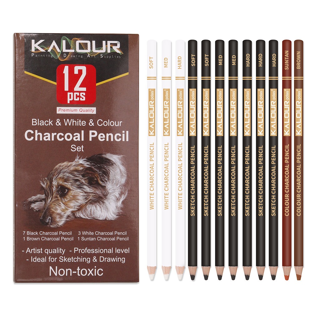 KALOUR Colored Charcoal Pencil - Chalk Pastel Set 评论和价格