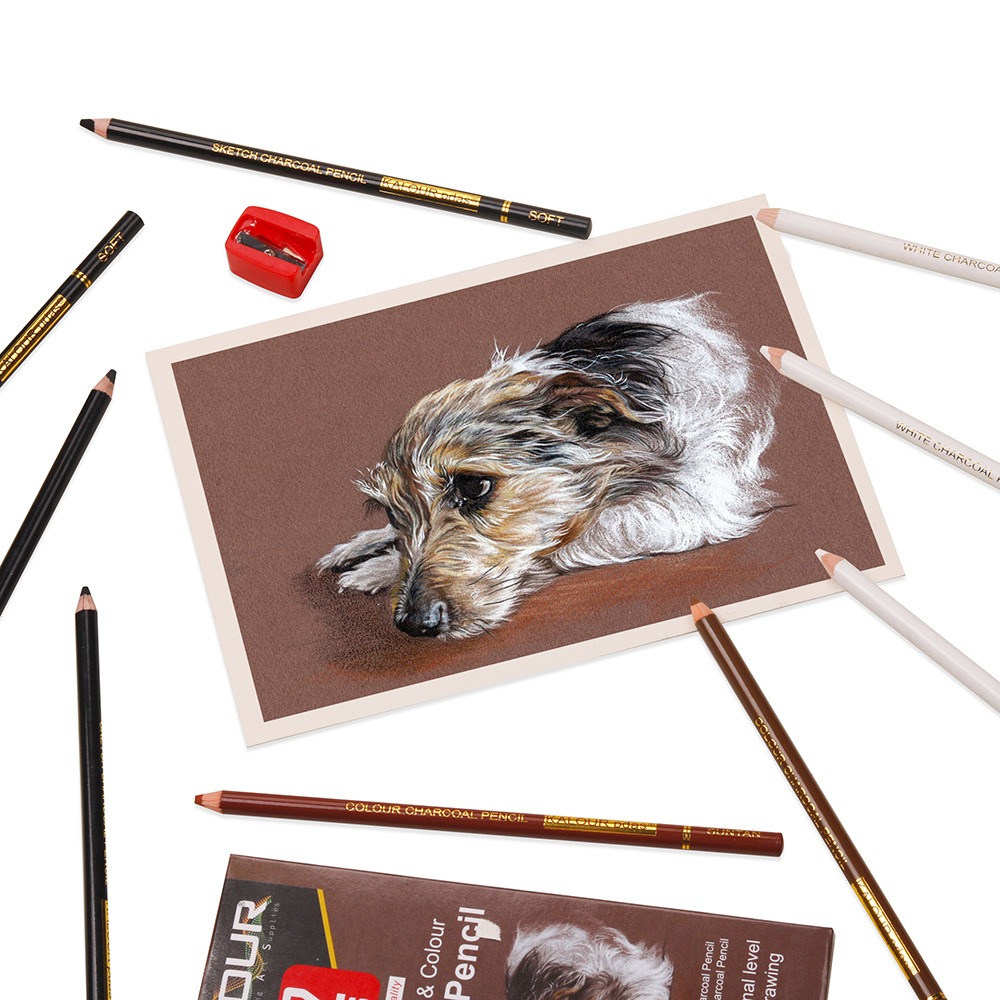 KALOUR Colored Charcoal Pencil - Chalk Pastel Set 评论和价格